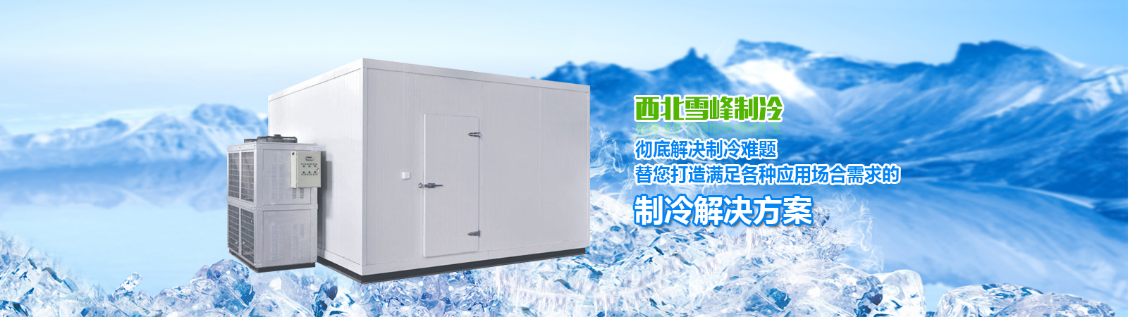 中国最早的人博鱼类排序(中国最早的人类)